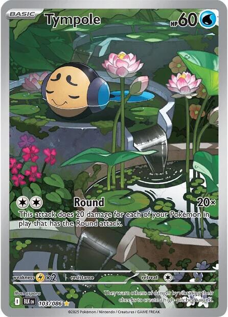 103/086 Tympole - BLK