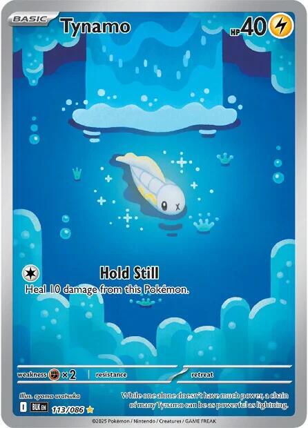 113/086 Tynamo - BLK