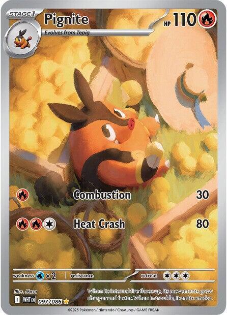 097/086 Pignite - WHT
